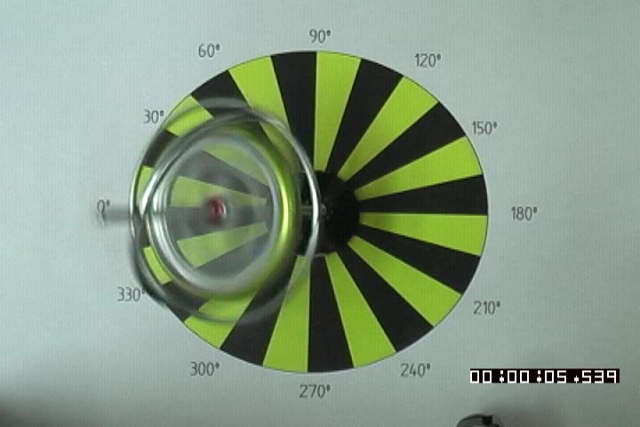 foto 06