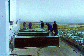 19 - Los Leones bay 5, raising the fallen scaffold