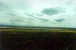 03 - Andes seen from Los Leones - looking NW