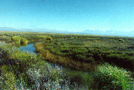 24 - river near Flavia