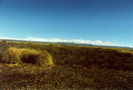 22 - More Andes with snow from Luciana